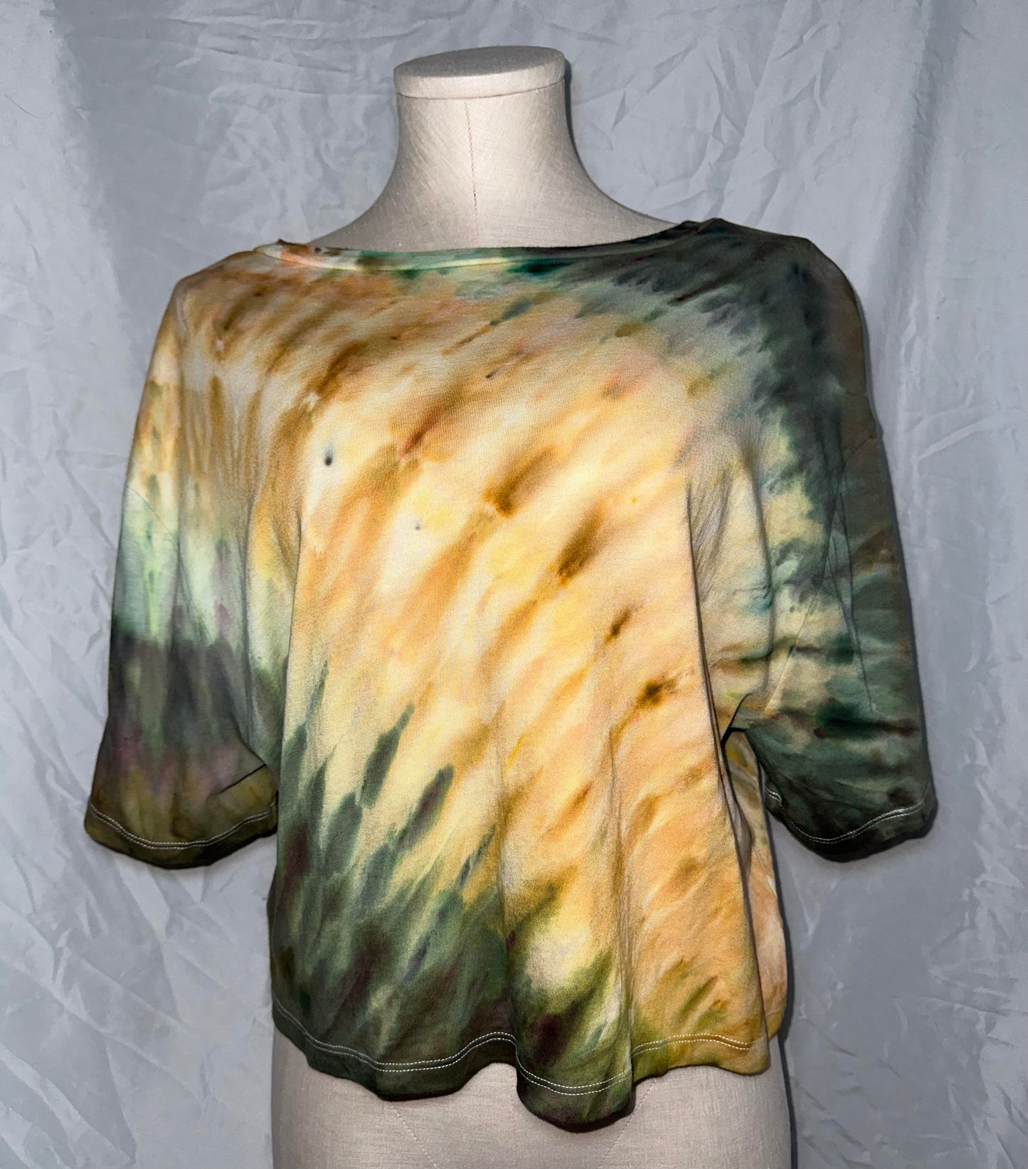 Earth Incline Crop Top T-Shirt