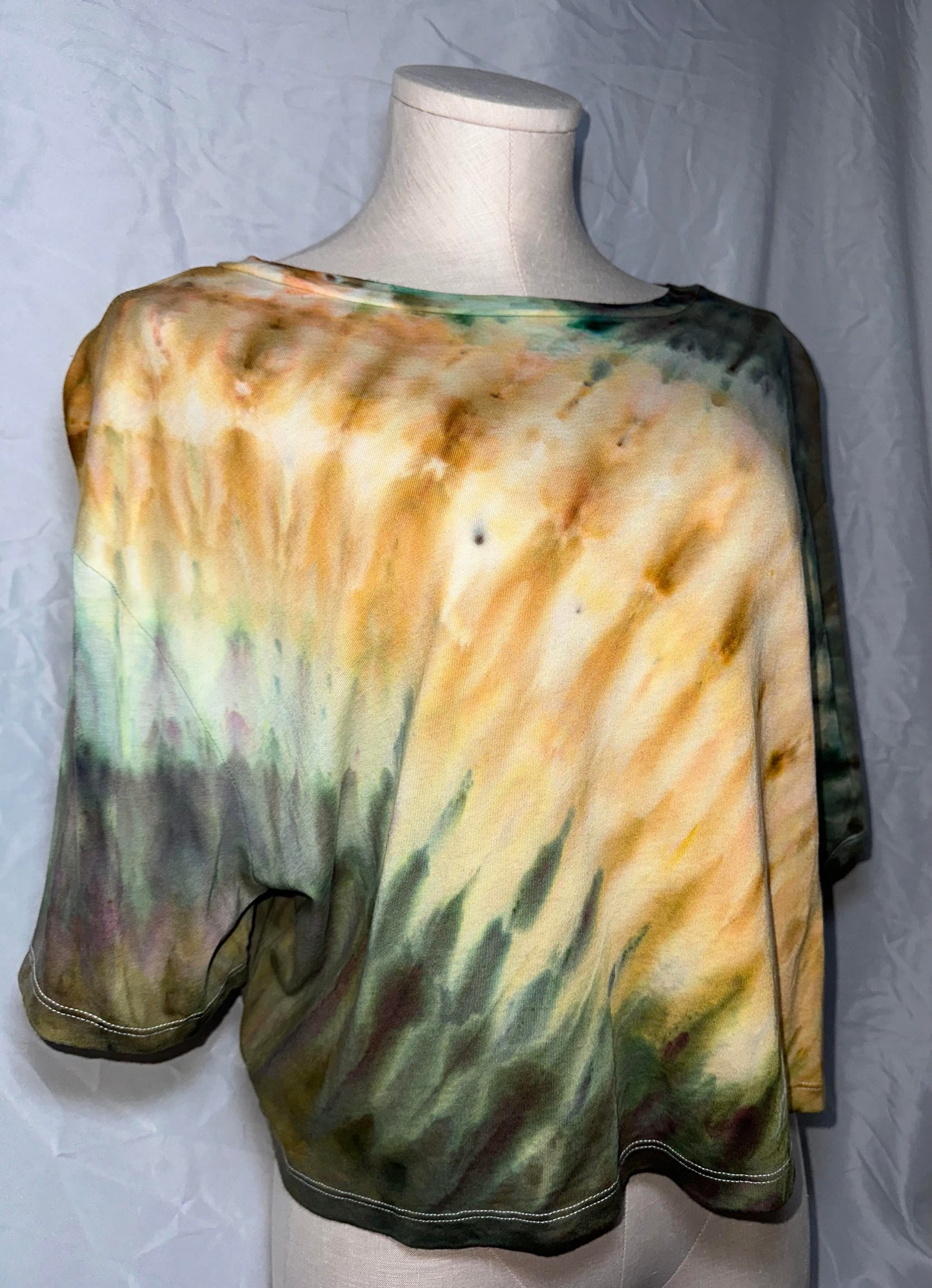 Earth Incline Crop Top T-Shirt