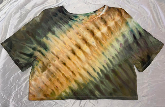 Earth Incline Crop Top T-Shirt